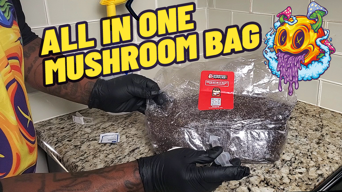 How To Inoculate An All In One Bag