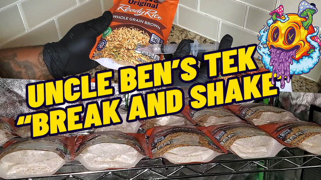 Uncle Ben's Tek Break & Shake